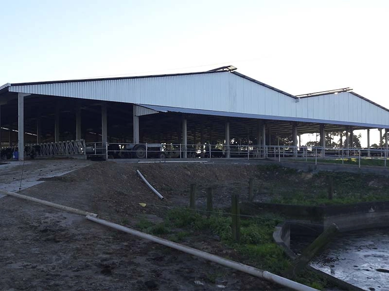 AS Projetos e Pré Moldados